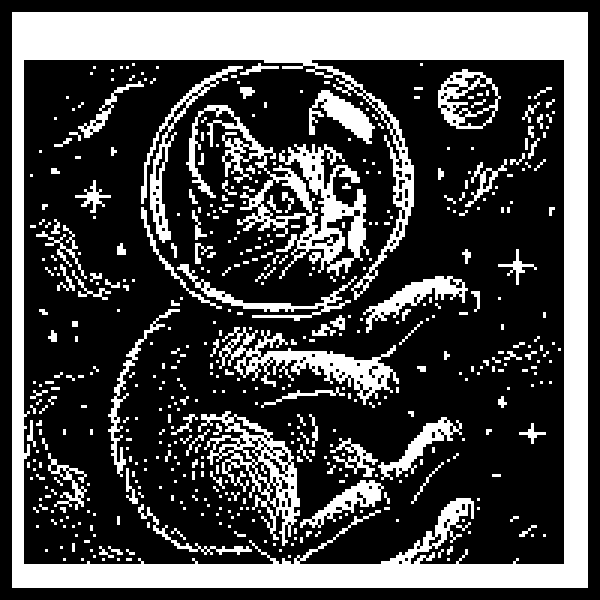 space_cat